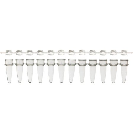 SCIENTIFIC SPECIALTIES UltraFlux 12 Strip Tubes w/Unattached Caps, 0.2ml, Natural, 80/PK 145580